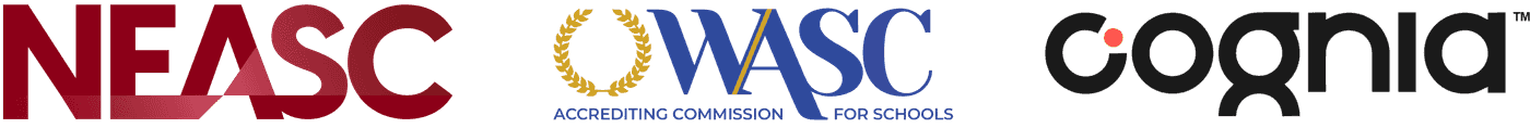 Accreditation strip